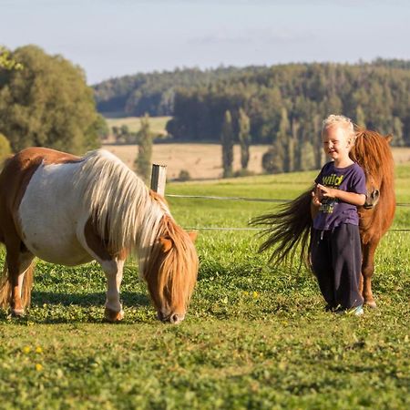 Chumecky Mlyn Stryckovice エクステリア 写真